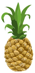 ananas