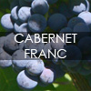 Hrozno Cabernet Franc