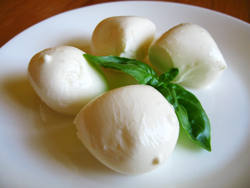 Burrata