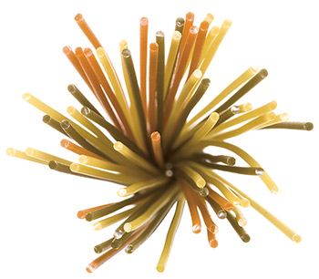 Špagety s paradajkou a špenátom