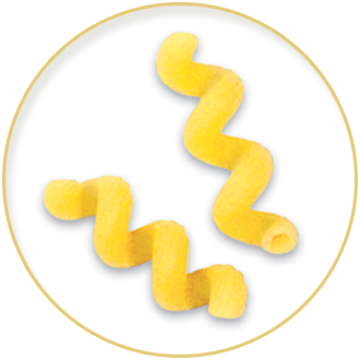 Riccioli