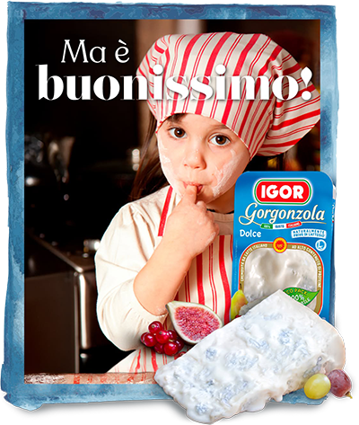 IGOR Gorgonzola
