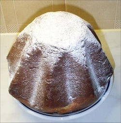 Pandoro Pandoro