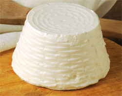 Ricotta