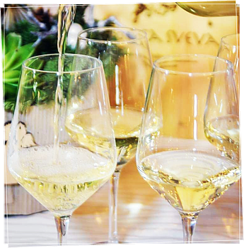 Garda Pinot Grigio Garda Pinot Grigio