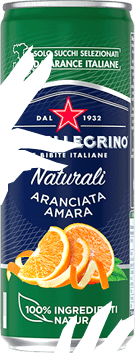 catalog/intercibus/slider/185sanpellegrino/plechovka2.png