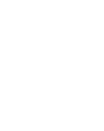 catalog/intercibus/slider/185sanpellegrino/zena.png